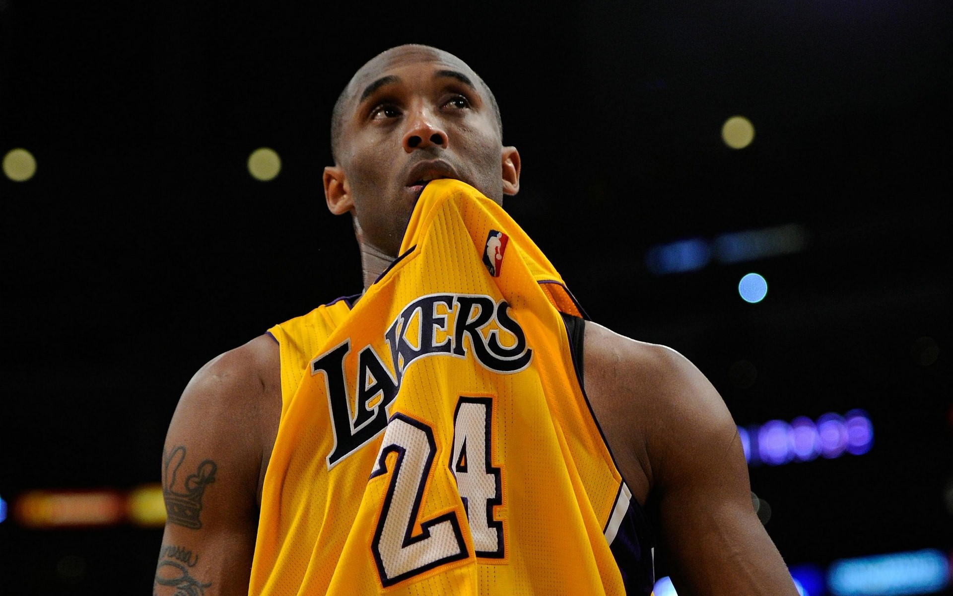 续优化吗 续优化吗